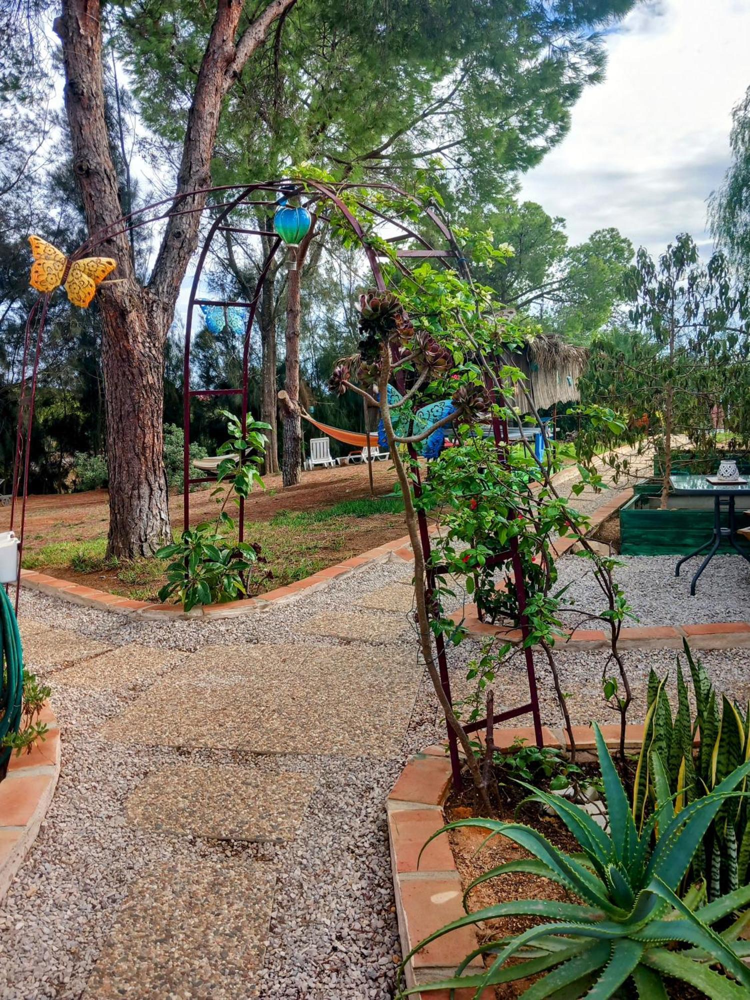 Morphee Valdareina, Piscine Chauffee, Benagil-Carvoeiro Apartment การ์วอยโร ภายนอก รูปภาพ